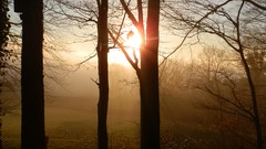 Sunset nature sun sunlight