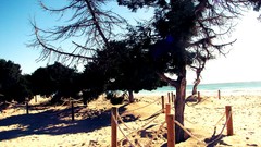 Sunset nature sun sunlight