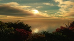 Sunset nature sundown