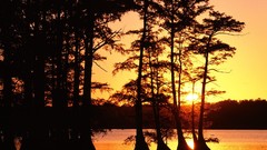 Sunset nature Tennessee