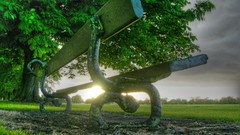 Sunset nature Trees bench