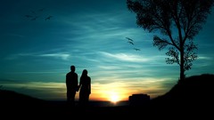 Sunset nature Trees Birds couple silhouettes HDR Photography 