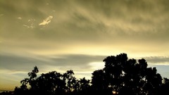 Sunset nature Trees clouds evening shadows skyscapes