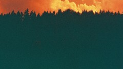 Sunset nature Trees clouds forests