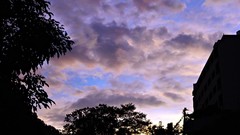 Sunset nature Trees clouds skies