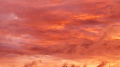 Sunset nature Trees clouds skies