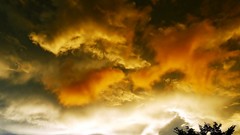 Sunset nature Trees clouds sunlight skies