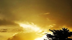 Sunset nature Trees clouds sunlight skies