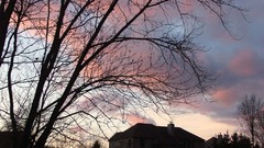 Sunset nature Trees houses