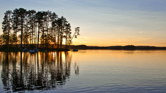 Sunset nature Trees lakes