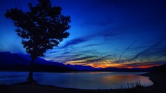 Sunset nature Trees lakes