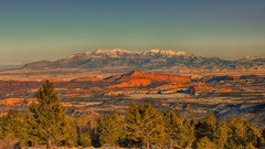 Sunset nature Trees Mountains Green evening Utah forests tau 