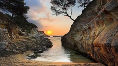 Sunset nature Trees Sea