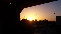 Sunset nature Trees sun