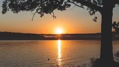 Sunset nature Trees sun