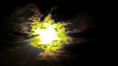 Sunset nature Trees sun clouds