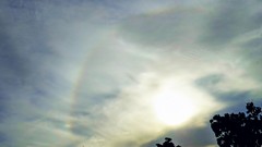 Sunset nature Trees sun clouds rainbows skies