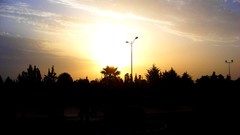 Sunset nature Trees sun dark orange relaxation cities morocco 