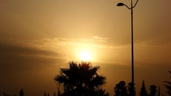 Sunset nature Trees sun dark orange relaxation cities morocco 