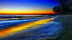 Sunset nature Trees water ocean Beaches waves