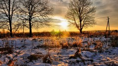 Sunset nature Trees winter snow landscapes