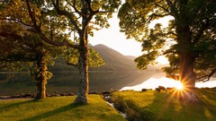 Sunset nature Trees woman