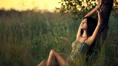 Sunset nature Trees woman brunettes