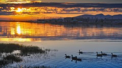Sunset nature water clouds Birds rivers