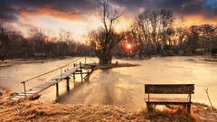 Sunset nature water forests mystical