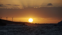 Sunset nature windmills