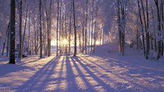 Sunset nature winter snow