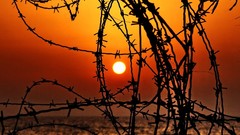 Sunset ocean barbed wire
