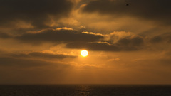 Sunset ocean clouds Birds