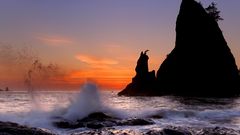 Sunset ocean Landscapes