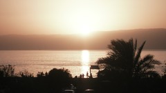 Sunset ocean palm trees Beaches