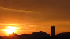 Sunset Ohio countryside