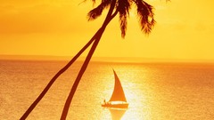 Sunset paradise Sailboats sailing vehicles