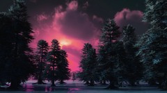 Sunset pink ice forests