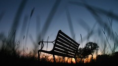 Sunset Plants bench silhouettes low-angle shot