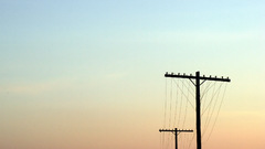 Sunset power lines skyscapes
