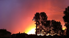 Sunset rain sunlight