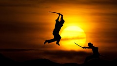 Sunset samurai fighters martial arts