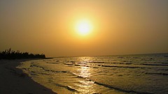 Sunset sand Sea nature Trees sun Beaches