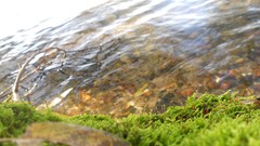 Sunset sand Sea nature Trees water lakes Beaches skies