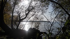 Sunset sand Sea nature Trees water lakes Beaches skies