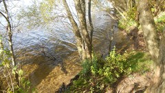 Sunset sand Sea nature Trees water lakes Beaches skies