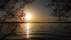 Sunset sand Sea nature Trees water lakes Beaches skies