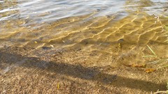 Sunset sand Sea nature Trees water lakes Beaches skies