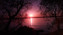 Sunset sand Sea nature Trees water lakes Beaches skies