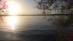 Sunset sand Sea nature Trees water lakes Beaches skies